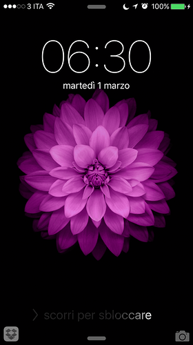 IMG_0316.PNG