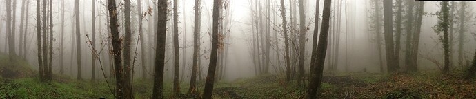 ImageUploadedByTapatalk1364833902.219816.jpg