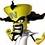 Cortex