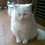 Sandri